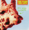 This_Here_Giraffe__Internet_Album_