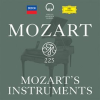 Mozart_225__Mozart_s_Instruments