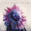 Can_You_Feel_The_Sun