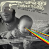 The_Flaming_Lips_And_Stardeath_And_White_Dwarfs_With_Henry_Rollins_And_Peaches_Doing_Dark_Side_Of