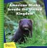 American_Minks_Invade_the_United_Kingdom