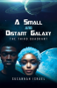 A_Small_and_Distant_Galaxy__The_Third_Quadrant