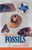 A_Field_Guide_to_Fossils_of_Texas