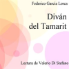 Div__n_del_Tamarit