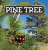 Pine_Tree