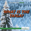 What_Is_the_Taiga_