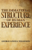The_Immaterial_Structure_of_Human_Experience
