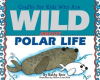 Crafts_for_Kids_Who_Are_Wild_About_Polar_Life