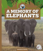 A_Memory_of_Elephants