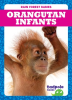 Orangutan_Infants