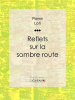 Reflets_sur_la_sombre_route