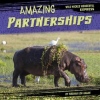 Amazing_Partnerships