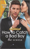 How_to_Catch_a_Bad_Boy