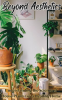 Beyond_Aesthetics____Understanding_the_Science_of_House_Plants_for_a_Healthy_Home
