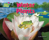 Water_Plants