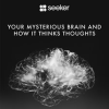 Your_Mysterious_Brain_and_How_It_Thinks_Thoughts