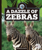 A_Dazzle_of_Zebras
