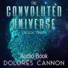 The_Convoluted_Universe