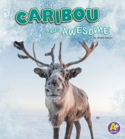 Caribou_are_awesome