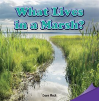 What_Lives_in_a_Marsh_