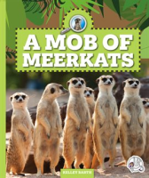 A_Mob_of_Meerkats
