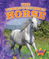 The_Thoroughbred_Horse