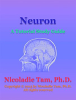 Neuron__A_Tutorial_Study_Guide