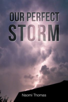 Our_Perfect_Storm