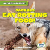 Jackals_Eat_Rotting_Food_