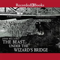 The_Beast_Under_the_Wizard_s_Bridge
