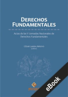 Derechos_fundamentales