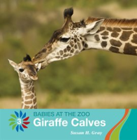 Giraffe_Calves