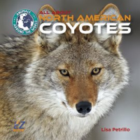 All_About_North_American_Coyotes