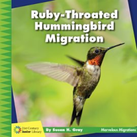 Ruby-Throated_Hummingbird_Migration