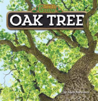 Oak_Tree