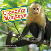 Capuchin_Monkeys
