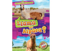 Llama_or_Alpaca_