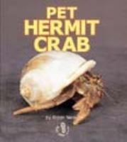 Pet_Hermit_Crab