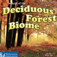 Seasons_of_the_Decidous_Forest_Biome