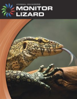 Monitor_lizard