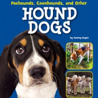 Foxhounds__Coonhounds__and_Other_Hound_Dogs