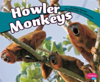 Howler_Monkeys