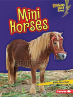 Mini_Horses