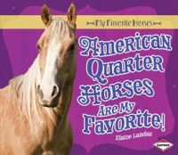 American_Quarter_Horses_Are_My_Favorite_