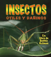 Insectos___tiles_y_da__inos
