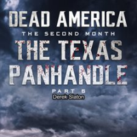 The_Texas_Panhandle_-_Pt__6
