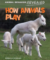 How_Animals_Play