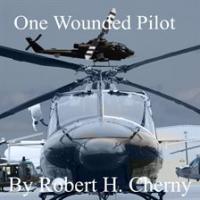 One_Wounded_Pilot