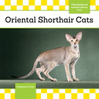 Oriental_Shorthair_Cats