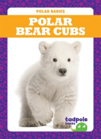 Polar_Bear_Cubs